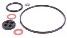 Set Oringuri Carburator Honda GX390