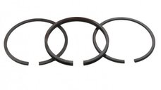 Set Segmenti Piston Briggs- Stratton 65,09mm (2X2X4,75 mm) Caber, Italia