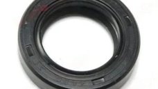 Simering Ambielaj Drujba Chinezeasca 4500, 5200 ,mic