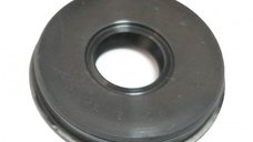 Simering Drujba Echo 12x32x5.5
