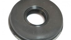 Simering Drujba Echo 12x32x5.5