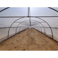 Solar gradina profesional, 14 x 4 x 3 m, 56 mp, structura otel galvanizat - 5
