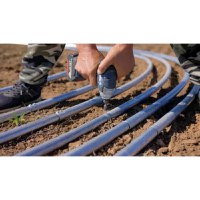 Solar gradina profesional, 8 x 3 x 2.5 m, 24 mp, structura otel galvanizat - 8