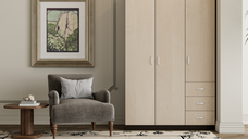 Dulap Ionut Wenge Mesteacan 120x50x200 cm