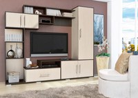 Living Pekin RO Wenge Mesteacan 210x40x179 cm - 1