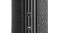 Boxa portabila Audio Pro A10 MkII, Gri Inchis