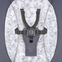 Balansoar si sezlong copii Lionelo Ralf 2 in 1 electric Gri Grafit - 4