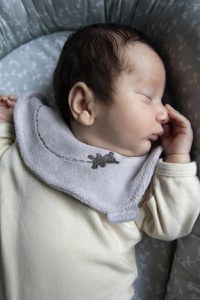 Baveta BabyJem cu broderie Teddy Gri - 2