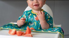 Baveta maneci scurte cu ventuze Zebre vesele