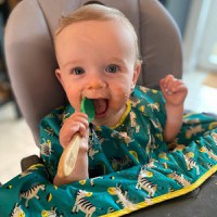 Baveta maneci scurte cu ventuze Zebre vesele - 4