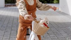 Bicicleta fara pedale pentru copii, Adamex Pixie, cu roti de 12 inch din spuma PU, cu cosulet, design retro, scaun reglabil, inaltime sezut 33-43 cm, sarcina maxima admisa 50 kg, 2-6 ani, Snow White