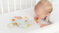 Cameleon jucarie de agatat interactiva cu activitati Dolce