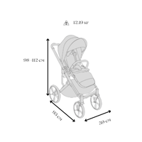 Carucior pentru copii Avionaut Sirius Grey 2 in 1 cu suspensie, maner telescopic, geanta, greutate admisa 22 kg - 1