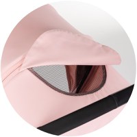 Carucior pentru copii Chipolino Blossom Powder Pink, spatar reglabil, bara de protectie, greutate admisa 22 kg - 11