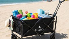 Carucior pliabil Ikonka cu maner telescopic, universal, sarcina maxima 100 kg