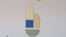 Decoratiune perete model 80