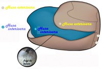 Fotoliu Pufrelax king size otoman eerie black umplut cu fulgi de burete memory mix - 4