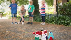 Joc de bowling Prietenii padurii