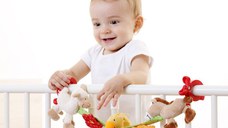 Jucarie din plus pentru carucior Sigikid Ferma