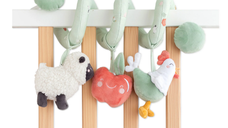 Jucarie zornaitoare din plus spirala Funny Farm