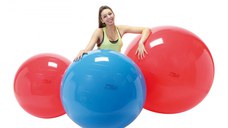 Minge fizioterapeutica Gymnic Fizio Albastru diametru 95 cm