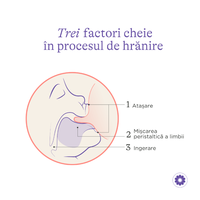 Pachet Starter biberoane cu tetina NaturalWave Lansinoh 160 ml + 240 ml - 4