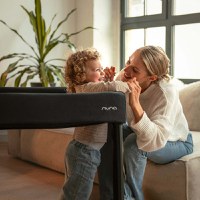 Patut pentru copii Nuna Paal Granite pliabil, cu gentuta pentru transport si plasa de insecte, greutate suportata 15 kg - 4