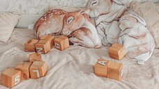 Perna Bambi Big