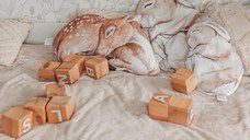 Perna Bambi Big