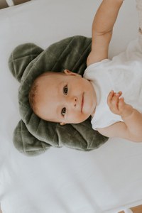 Perna ursulet Royal Baby Verde Sleepee - 2