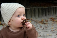 Set 2 suzete Bibs Colour Latex tetina rotunda 0 luni + BlushWoodchuck - 2