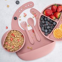 Set diversificare AppeKids din silicon 5 piese Classic Old Rose - 2