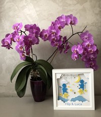 Tablou luminos Frati 001 - 2