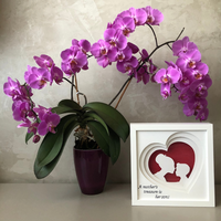 Tablou luminos Parinti si copii 043 - 2