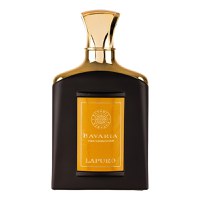 Parfum Bavaria The Gemstone Lapurd, Fragrance World, apa de parfum 80 ml, barbati - inspirat din Bvlgari Le Gemme Tygar - 1