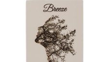 Parfum Breeze, Lattafa, apa de parfum 100 ml, unisex
