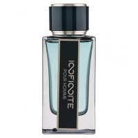 Parfum Infinite Pour Homme, Fragrance World, apa de parfum 100 ml, barbati - inspirat din Intense Leather by Ferragamo - 1