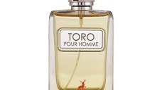 Parfum Toro, Maison Alhambra, apa de parfum 100 ml, barbati - inspirat din Terre d Hermes