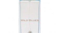 Parfum Wild Blues, Fragrance World, apa de parfum 115 ml, barbati - inspirat din Givenchy Pour Homme Blue Label