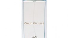 Parfum Wild Blues, Fragrance World, apa de parfum 115 ml, barbati - inspirat din Givenchy Pour Homme Blue Label