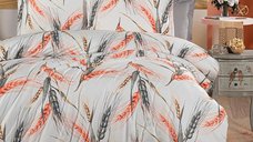 Lenjerie de pat Clasy Ranforce King Size, 100% bumbac, RNF_47