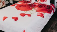 Lenjerie de pat Ranforce Clasy King Size (rnf_8) din 100% bumbac