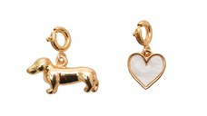 Accesorii pantofi ALDO aurii, PAWFECTLOVE 710, din metal