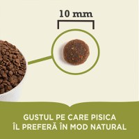 ACANA Highest Protein Grasslands, Rață și Pui, hrană uscată fără cereale pisici, 1.8kg - 4