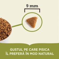 ACANA Indoor Entrée, Pui și Hering, hrană uscată pisici, 4.5kg - 4