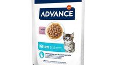 ADVANCE Kitten cu Curcan, Hrana Umeda pentru Pisici Junior in Sos, Plic de 85 g