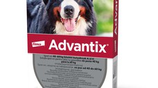 ADVANTIX, deparazitare externă câini, pipetă repelentă ADVANTIX 600, deparazitare externă câini, pipetă repelentă, XL(40 - 60kg), 1buc