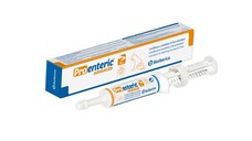 BIOIBERICA Pro-Enteric Advance Dog, supliment sistem digestiv câini, pastă orală BIOIBERICA Pro-Enteric Advance Dog, XS-M, supliment sistem digestiv câini, flacon cu aplicator, 15ml pastă orală