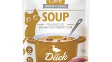 BRIT Care Soup, Rață, plic hrană umedă fără cereale pisici, apetit capricios, (topping), 75g