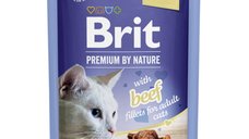BRIT Premium by Nature File Delicata cu Vită pentru Pisici, Plic Umid, 85g